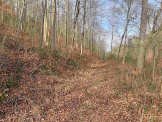 0 Pear Ln, Louisa, KY 41230