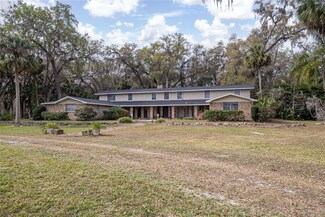 2930 Cr 416n, Lake Panasoffkee, FL 33538