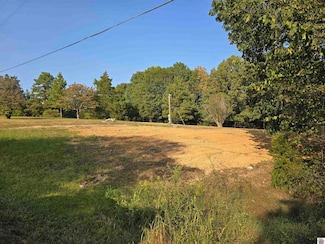 709 Hawkeye Rd, Gilbertsville, KY 42044