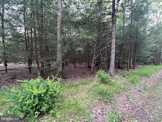 0 Viehdorfer Rd, Burnside Township, PA 16845
