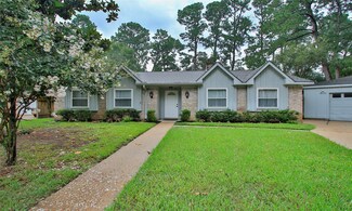 9502 Ballin David Dr, Spring, TX 77379
