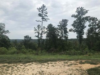 180 Eagle Nest Landing Ln, Bath Springs, TN 38311