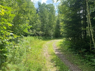 Near Warren Rd, Fifield, WI 54524