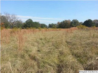 14903 Hammonds Dr Unit 1, Brookwood, AL 35444