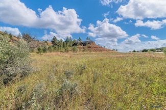 Lot 1F Park Dr, Rapid City, SD 57702