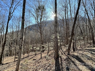Lot 229 Swallow Ln, Lake Lure, NC 28746
