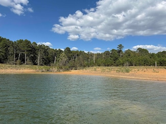 Lot 4 Island Shores Dr, Drasco, AR 72530