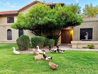 1262 E Greenway Cir, Mesa, AZ 85203