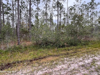 349 Magnolia, Southport, NC 28461