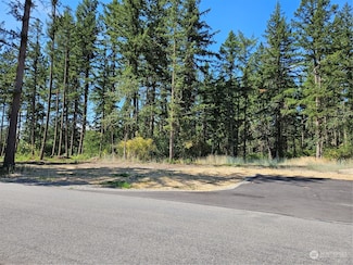 1321 276th St E, Spanaway, WA 98387