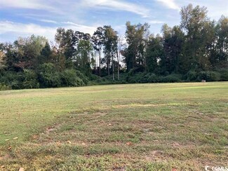 TBD E County Line Rd, Hemingway, SC 29554