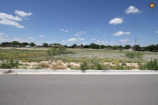 lot 8A block 8 W Avenue K, Lovington, NM 88260