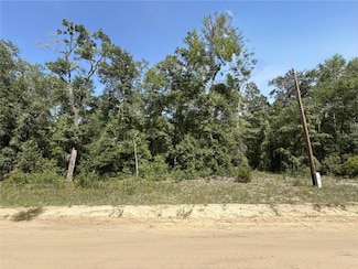 0 Gloria Ave Unit MFRTB8422369, Interlachen, FL 32148