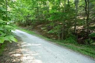 Lot 161 Aj's Holler, Blairsville, GA 30512