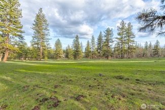 20 Greyback Mt Rd, Goldendale, WA 98620