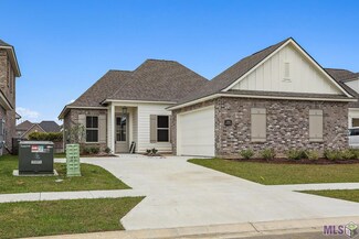 36276 Belle Crique Ave, Geismar, LA 70734