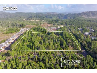 0 Munsel Lake-Tl00301 Rd, Florence, OR 97439