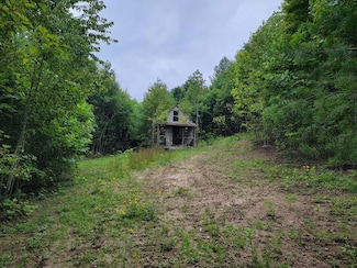 TBD Spring Valley Rd, Elk Creek, VA 24326