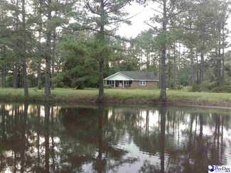 825 W Old Number 4 Hwy, Coward, SC 29530