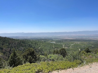 0 Tbd Bob's Rd Unit LotWP002, Mount Pleasant, UT 84647