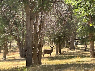 19777 Country Oaks St, Tehachapi, CA 93561