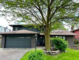 10427 S Alta Dr, Palos Hills, IL 60465