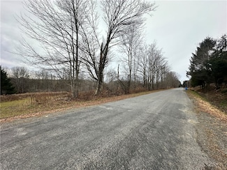 0 Kostenko Sutton Rd, Pitcher, NY 13801