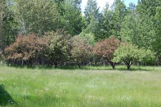 2700 Resort Rd, Alanson, MI 49706