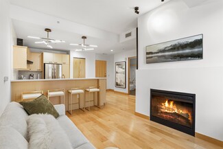 309 W Washington Ave Unit 207, Madison, WI 53703