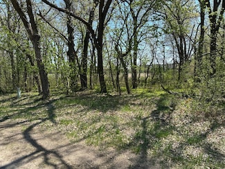 XXX 309th Ave, Princeton, MN 55371