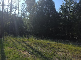 LOT 142 Winding Way Blvd, Georgetown, GA 39854