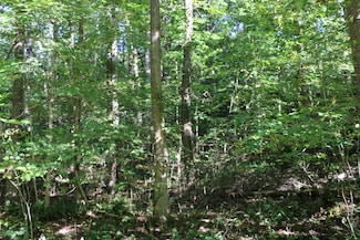 167 Hermitage Cir, Bumpus Mills, TN 37028