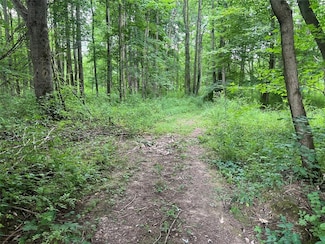 3+ /- Acres on 3+ - Acres On Phelps Rd, Conneaut Township, PA 16424
