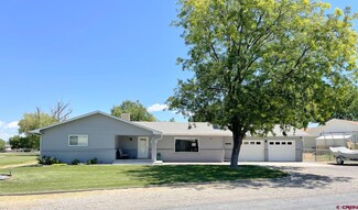 740 Willow Wood Ln, Delta, CO 81416