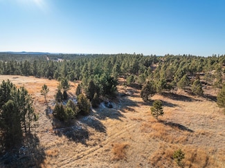 Tract 1 S Park Dr Unit Meyer Tract 1/Hombre, Crazy Horse, SD 57730