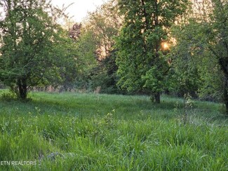 tbd LOT 1 Boatmans Mountain Rd, Morristown, TN 37814