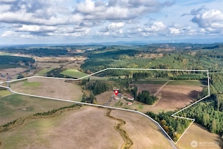 1827 Lincoln Creek Rd, Rochester, WA 98579