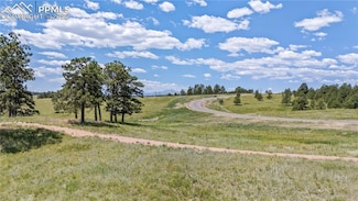 11010 Alamar Way, Black Forest, CO 80908