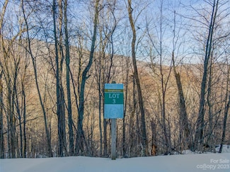 Lot 3 Mountain Gait Dr, Mars Hill, NC 28754