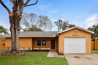 12804 Woodchip Ct, Riverview, FL 33579