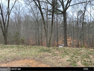 0 Bethany St Unit 10533824, Tallapoosa, GA 30176