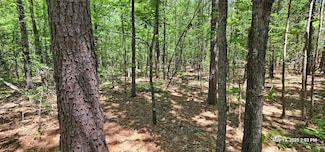 TBD County Road 3233, Clarksville, TX 75426