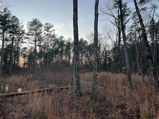 0 Hwy 16 Unit 24045815, Crabtree, AR 72031
