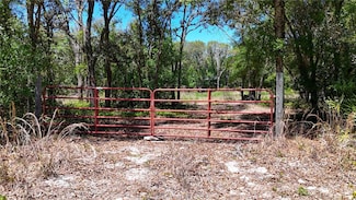 34281 Umbrella Rock Dr, Ridge Manor, FL 33597