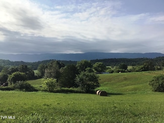 Lots 11-14 Tennessee 107 Cutoff, Greeneville, TN 37743