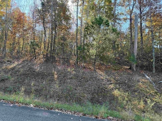 6 Woods Cliff Ln, Savannah, TN 38372