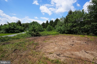 0 Cherry Hill Rd Unit PACC2006404, Parryville Borough, PA 18244