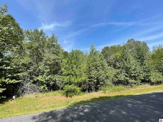 0 Eagle Look Ln Unit Lot 117, Murray, KY 42071