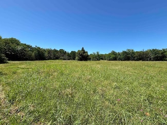 TBD Fm 2737, Lone Oak, TX 75453