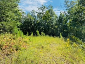 Lot 12 Hidden Ln, Murphy, NC 28906